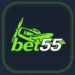 Bet 55 Game