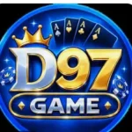 D97 Game