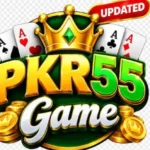 PKR55 Game APK